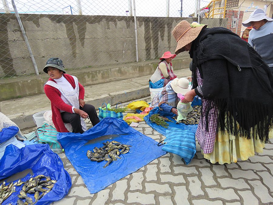 local market