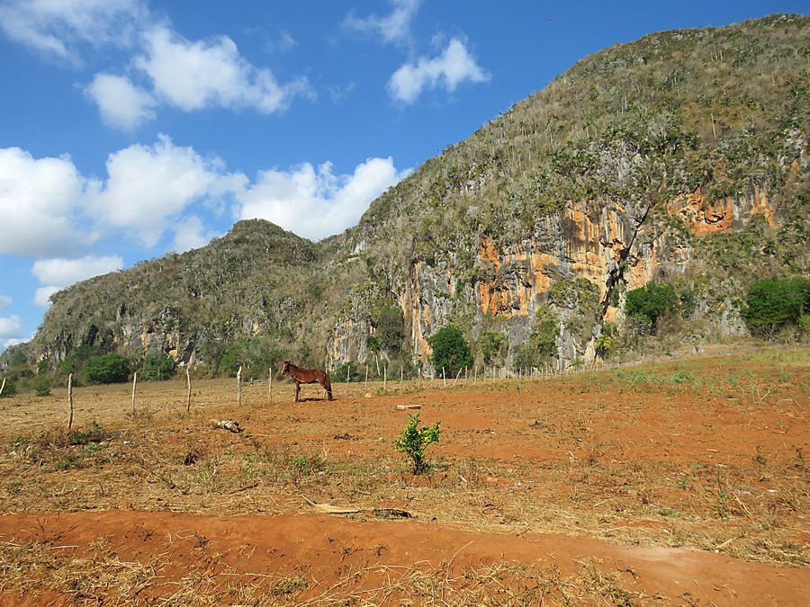 field