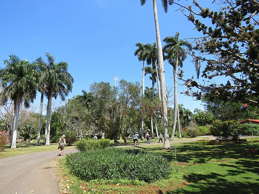 botanical garden