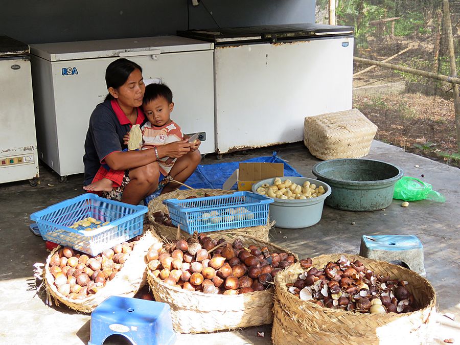 Woman working with child