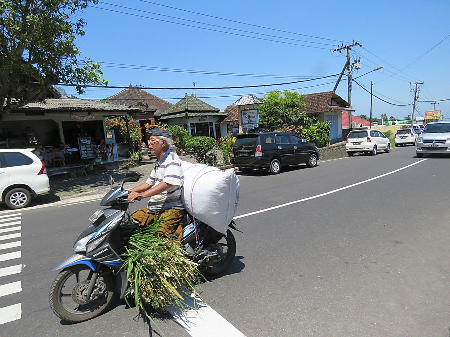 typical village scene