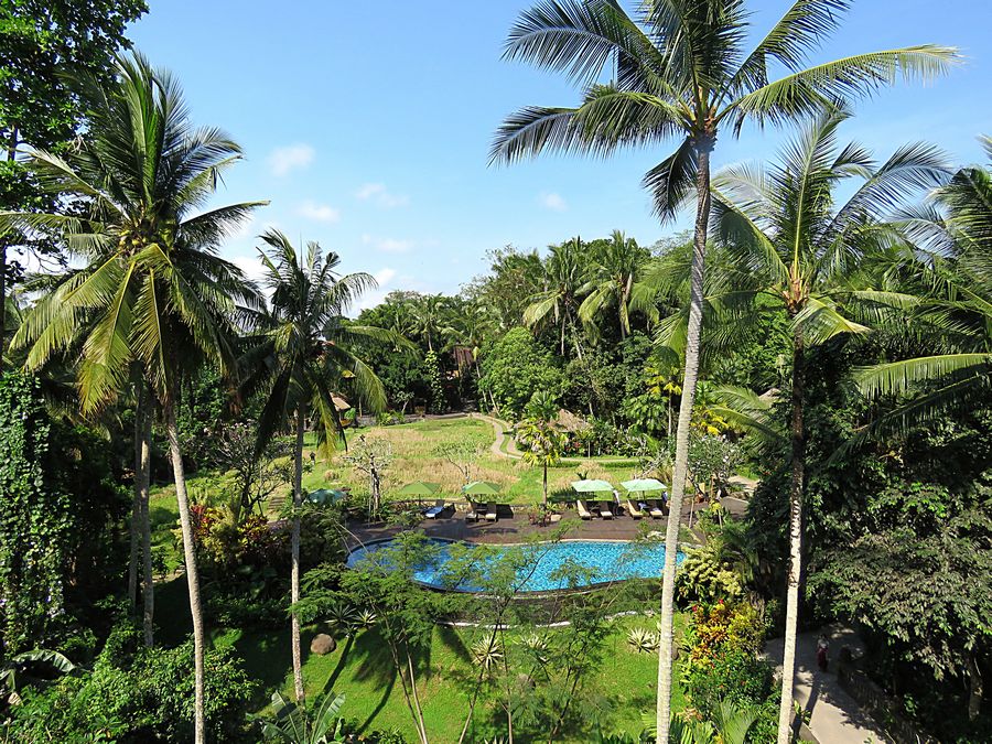 room view