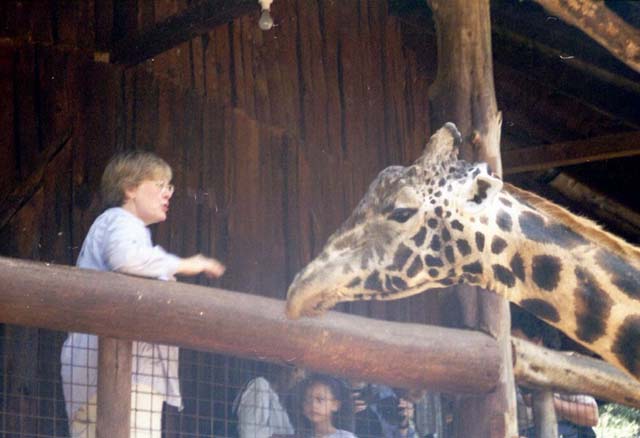 Shirley feeding Giraffe