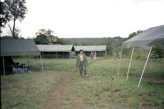 OAT tented camp at Serengeti National Park