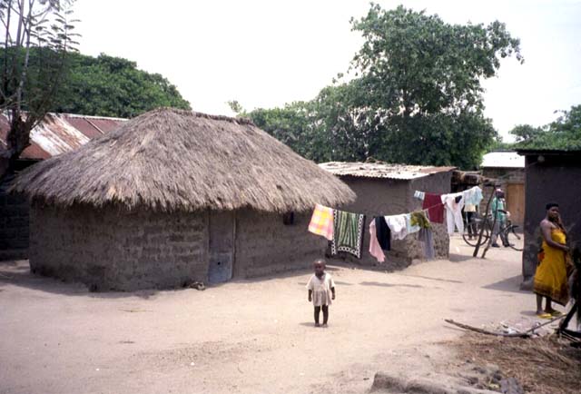 Homes in the fishing village