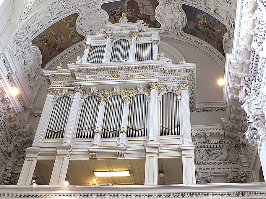 Organ