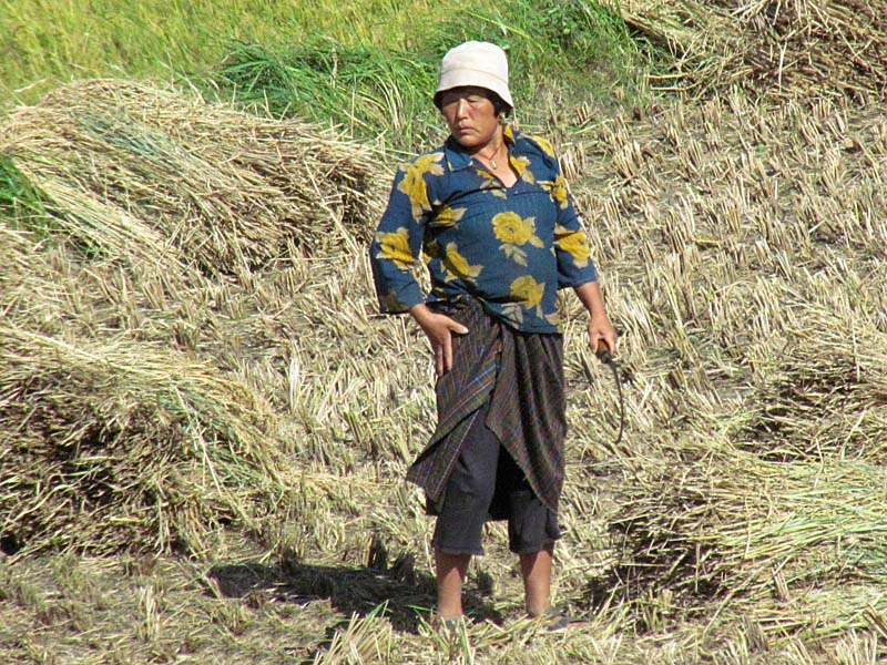 farm worker