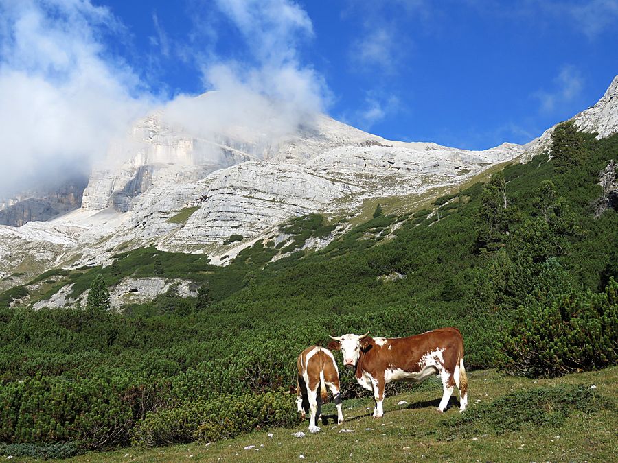 dolomites