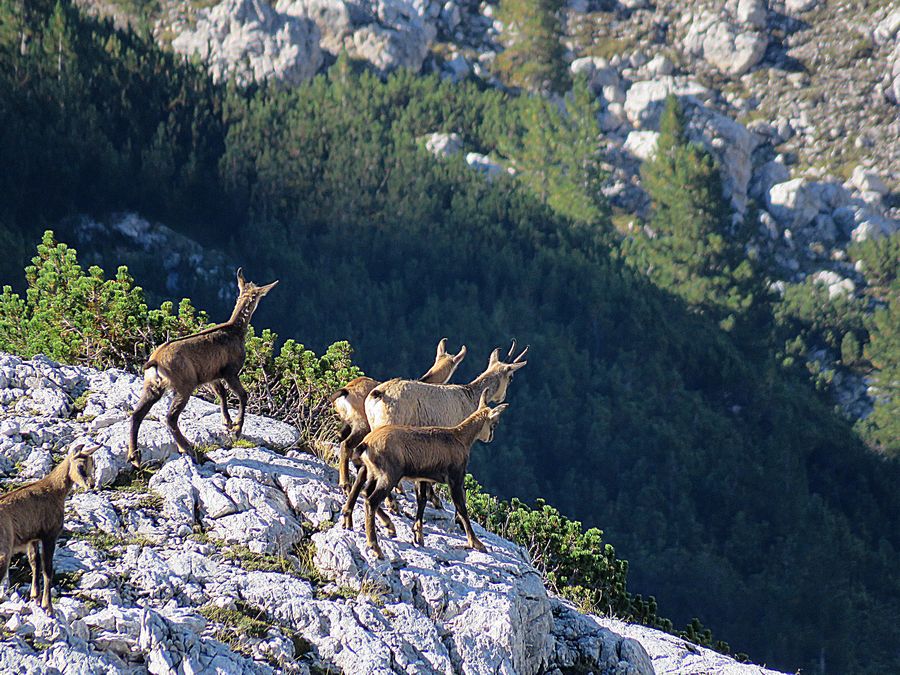 dolomites