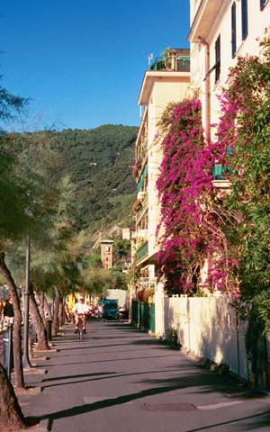 Main street in Monterosso