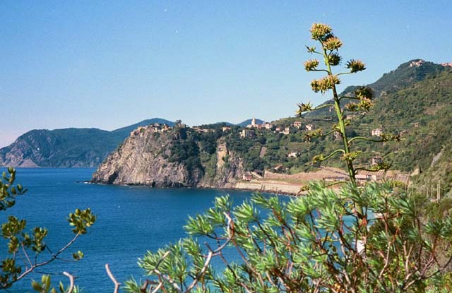 View from hiking trail of Cinque Terre area