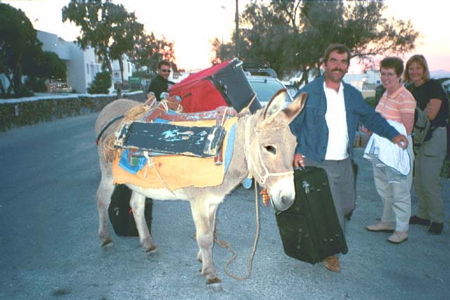 Donkey carrying our luggage