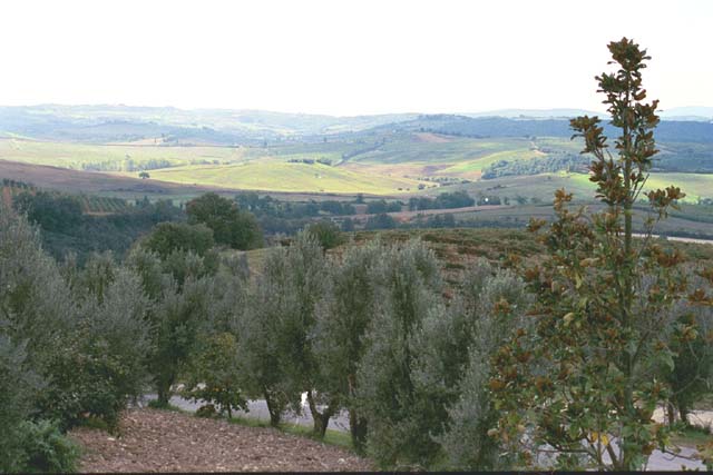 Tuscany farmland