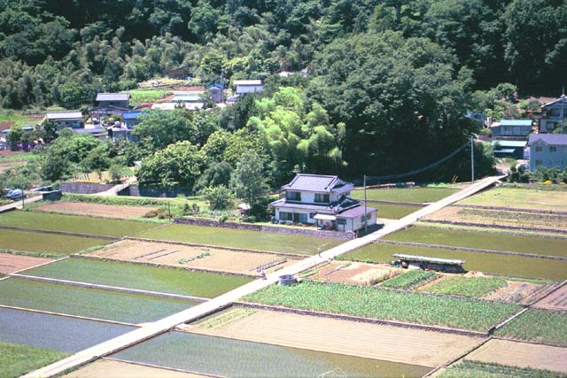 Farm land, including rice fields