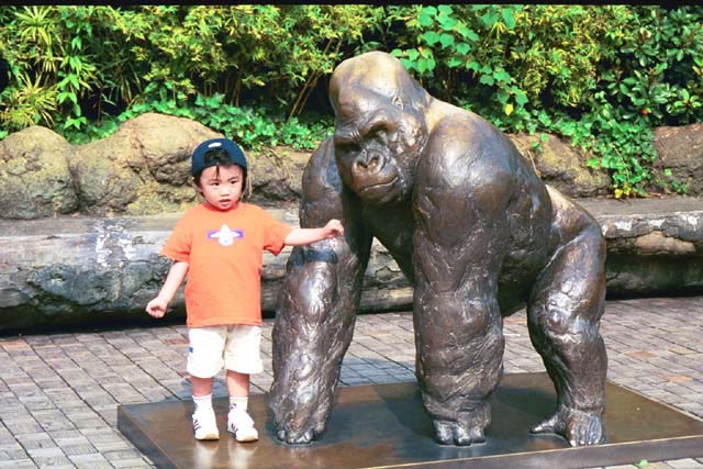 Child at Ueno Zoo