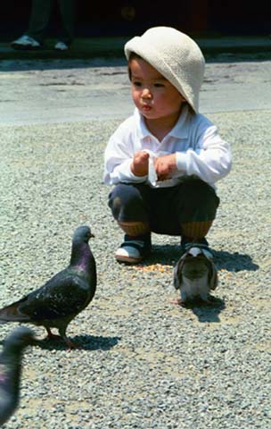 Child feeding pigeons in Kamakura