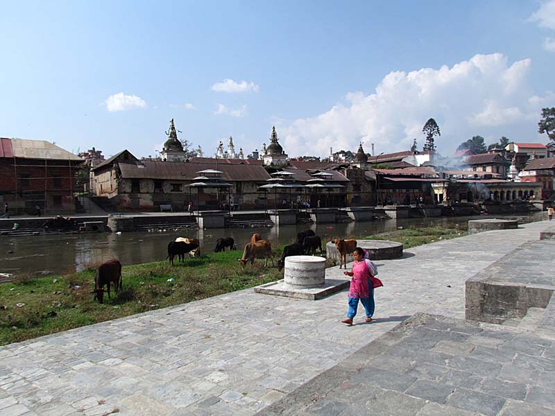 nepal239