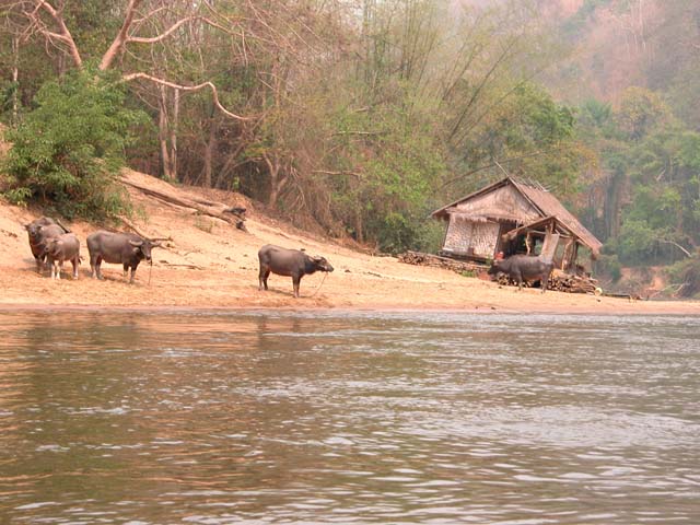 River Kwai