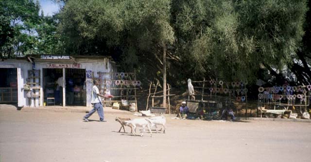 Typical shop along road side