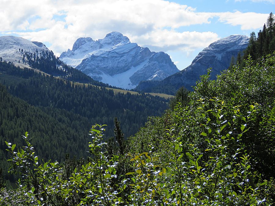 Cortina