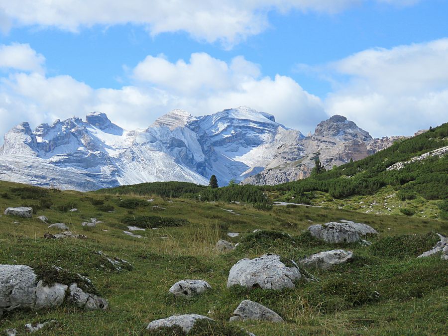 Cortina