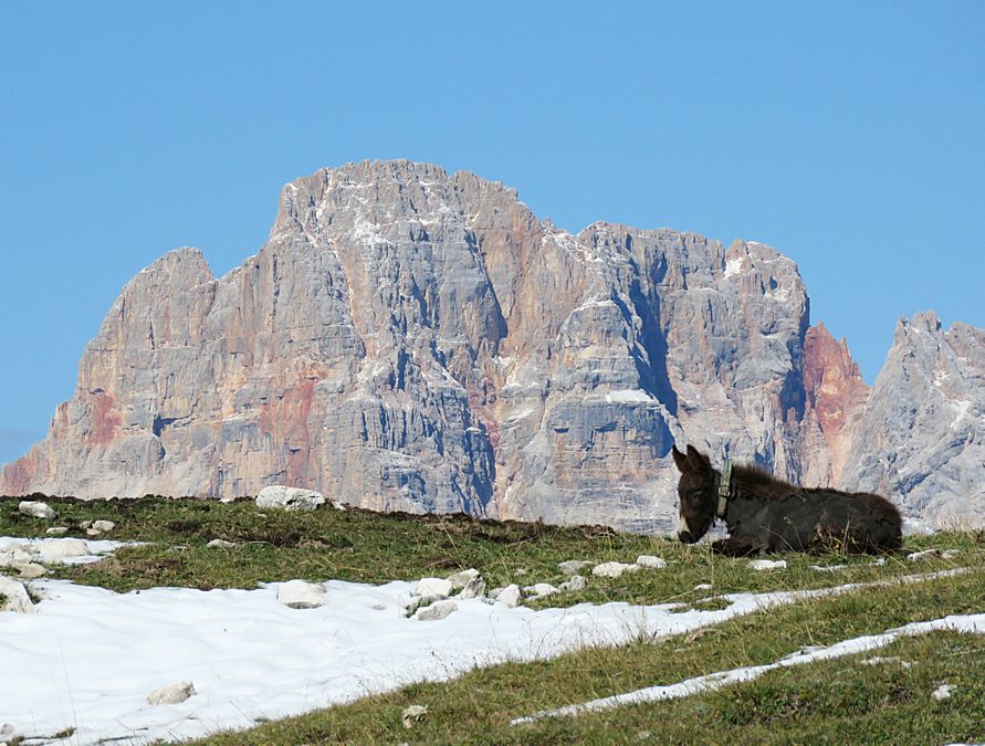 Cortina